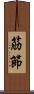 筋節 Scroll