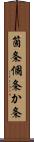 箇条 Scroll