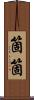 箇箇 Scroll