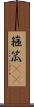 箍 Scroll