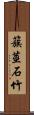 簇莖石竹 Scroll