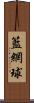 籃網球 Scroll