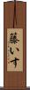 籐いす Scroll