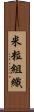 米粒組織 Scroll