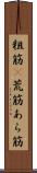 粗筋(P) Scroll