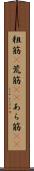 粗筋(P) Scroll