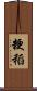 粳稻 Scroll