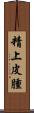 精上皮腫 Scroll