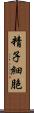 精子細胞 Scroll