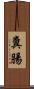 糞腸 Scroll
