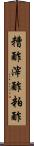 糟酢 Scroll