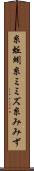 糸蚯蚓 Scroll