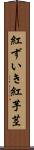 紅ずいき Scroll