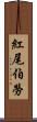 紅尾伯勞 Scroll