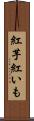 紅芋 Scroll