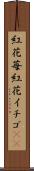 紅花苺 Scroll