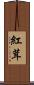 紅茸 Scroll