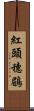 紅頭穗鶥 Scroll