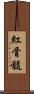 紅骨髓 Scroll