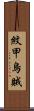 紋甲烏賊 Scroll