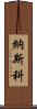 Nasko Scroll
