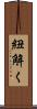 紐解く Scroll