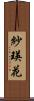 紗瑛花 Scroll