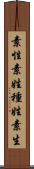 素性 Scroll