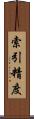 索引精度 Scroll