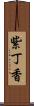 紫丁香 Scroll