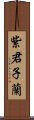 紫君子蘭 Scroll