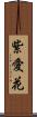 紫愛花 Scroll