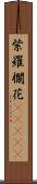 紫羅欄花(ateji) Scroll