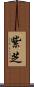 紫芝 Scroll