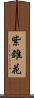紫錐花 Scroll