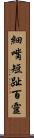 細嘴短趾百靈 Scroll