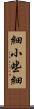 細小 Scroll