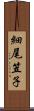細尾笠子 Scroll