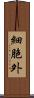 細胞外 Scroll
