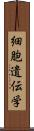 細胞遺伝学 Scroll