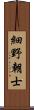 細野朝士 Scroll