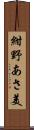 紺野あさ美 Scroll