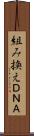 組み換えＤＮＡ Scroll
