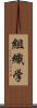 組織学 Scroll
