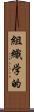 組織学的 Scroll