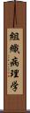 組織病理学 Scroll