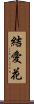 結愛花 Scroll