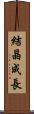 結晶成長 Scroll