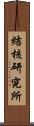 結核研究所 Scroll