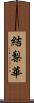 結梨華 Scroll